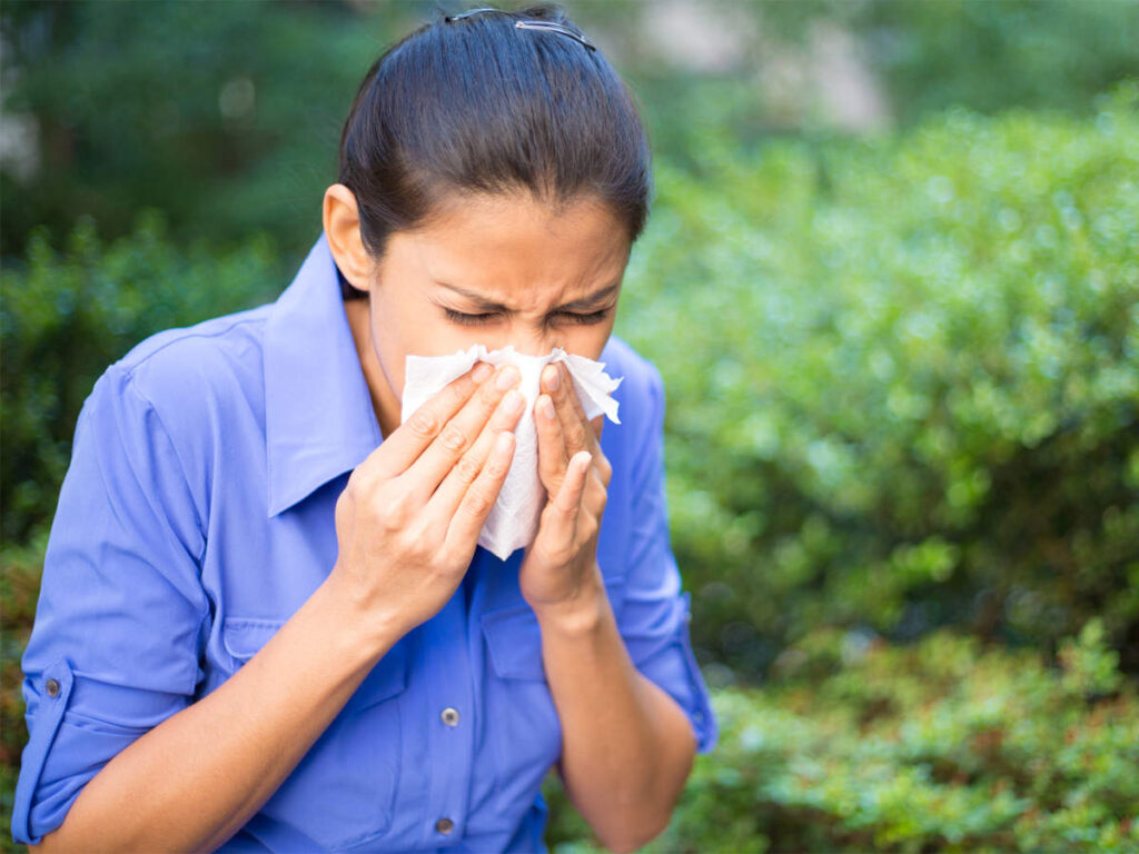 Seasonal allergies – how can Ayurveda help?